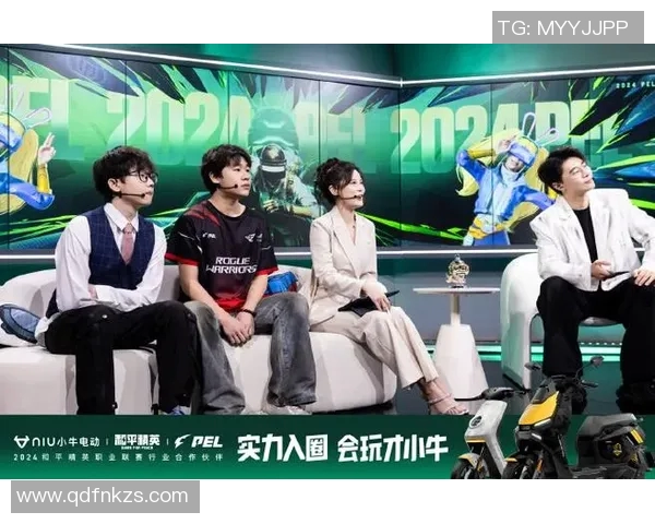 小牛队成功晋级西部决赛，逆袭之路震撼球迷