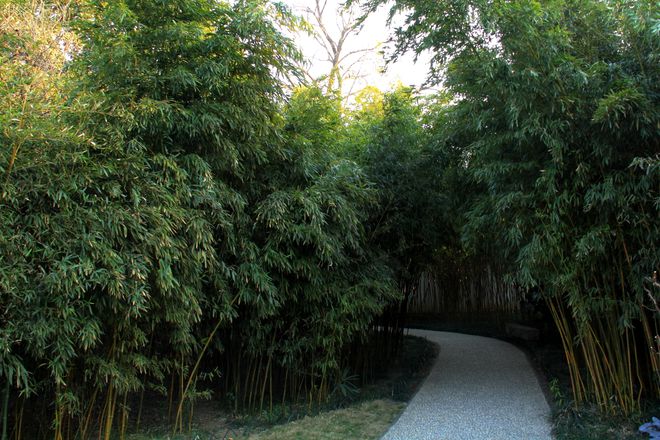 安博体育官网安博体育app下载扬州最美古典园林是中国四大园林之一享有“国内孤例”之美誉(图3)