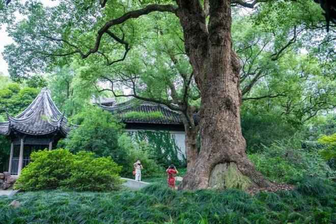 中国最美的六大古典园林北京有一座参照无锡而安博体育建你去过安博体育官网几个？(图3)