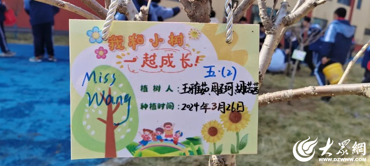潍坊园林环卫“送绿进校园” 600棵小树有了“新主人”安博体育官网(图3)