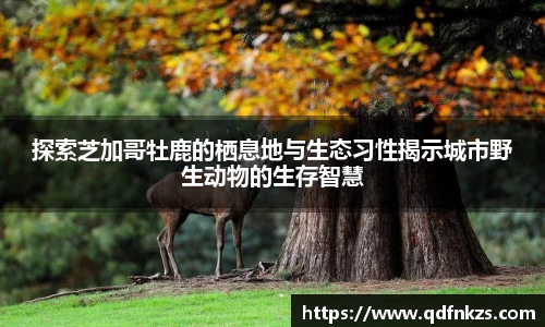bevictor伟德APP